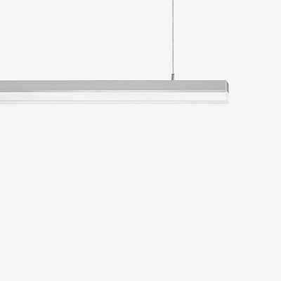 Ribag Licht Spina LED Pendelleuchte dimmbar klar/matt - Ribag Licht - Innenleuchten Ideen für dein Zuhause von Home Trends.