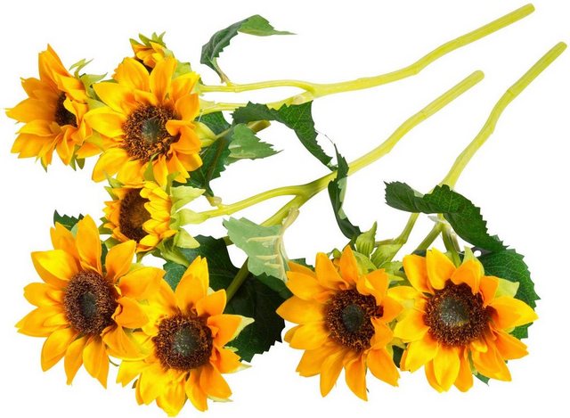 Kunstblume »Sonnenblume« Sonnenblume, Botanic-Haus, Höhe 38 cm-Kunstpflanzen-Inspirationen