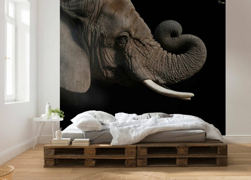 Komar Vliestapete »African Elephant«, glatt, bedruckt, realistisch, (6 St), 300 x 280 cm (Breite x Höhe) - 6 Bahnen-Tapeten-Ideen für dein Zuhause von Home Trends
