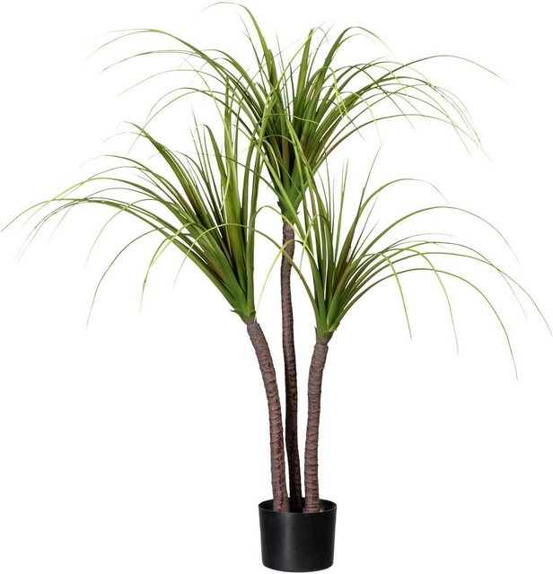 Künstliche Zimmerpflanze »Drachenbaum« Drachenbaum, Creativ green, Höhe 120 cm-Kunstpflanzen-Inspirationen