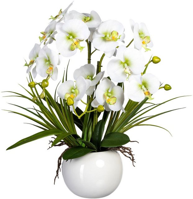 Kunstorchidee »Phalaenopsis« Orchidee Phalaenopsis, Creativ green, Höhe 58 cm, im Keramiktopf-Kunstpflanzen-Inspirationen