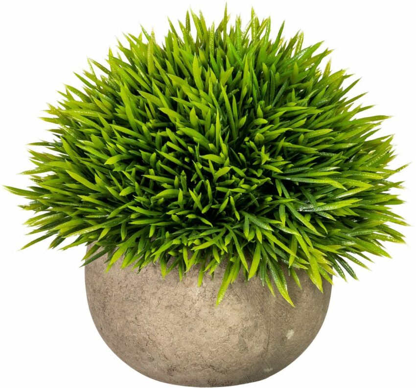 Kunstpflanze »Christin« Grashalbkugel, my home, Höhe 12 cm, Gras, im Paperpot, 2er Set-Kunstpflanzen-Ideen für dein Zuhause von Home Trends