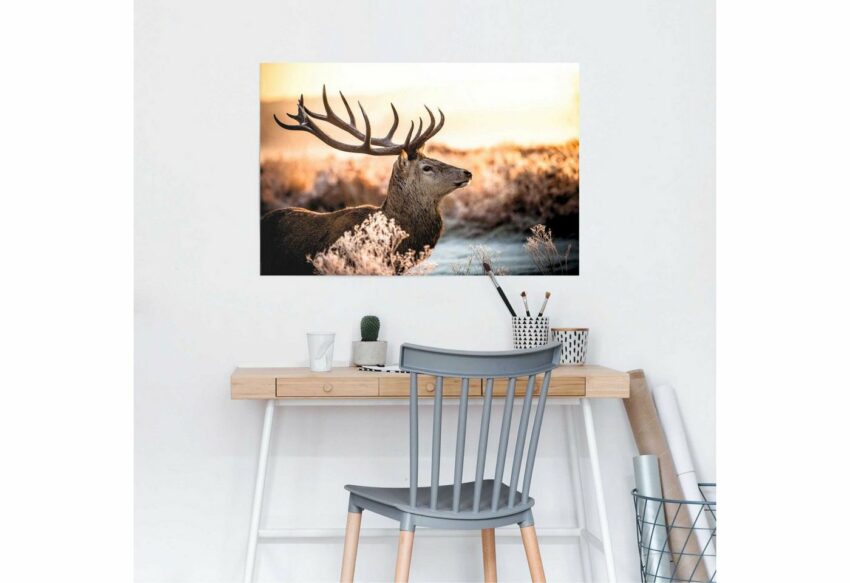 Reinders! Poster »Hirsch im Wald«, (1 Stück)-Bilder-Ideen für dein Zuhause von Home Trends