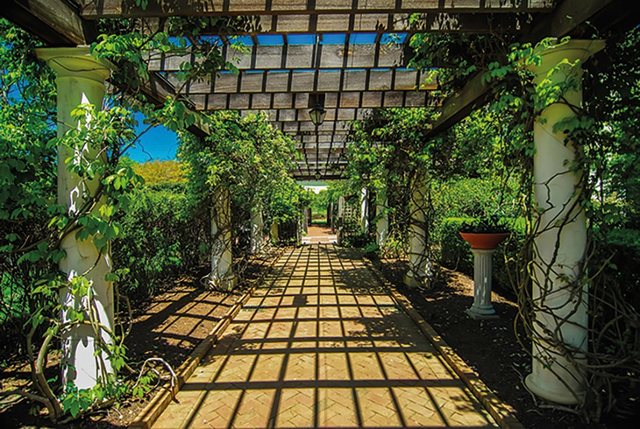 Papermoon Fototapete »Garden Walkway«, glatt-Tapeten-Inspirationen