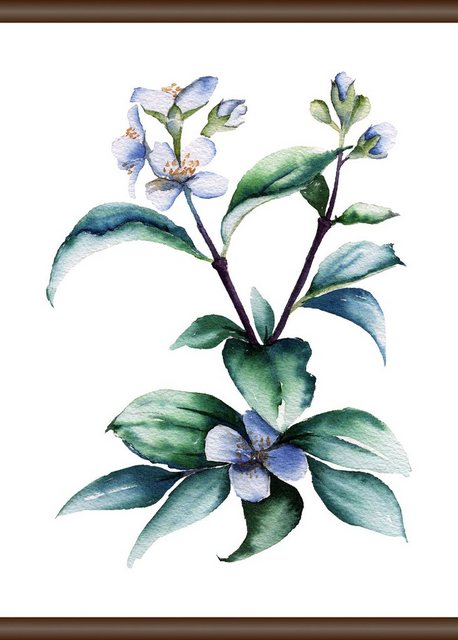 queence Leinwandbild »Lila Pflanze«, 50x70 cm-Bilder-Inspirationen