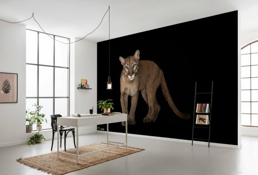 Komar Vliestapete »Florida Panther«, glatt, bedruckt, realistisch, (8 St), 400 x 280 cm (Breite x Höhe) - 8 Bahnen-Tapeten-Ideen für dein Zuhause von Home Trends