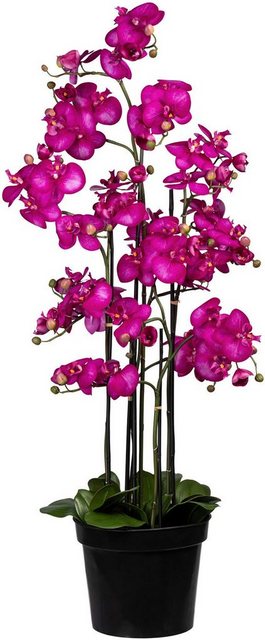 Kunstorchidee »Phalaenopsis« Orchidee Phalaenopsis, Creativ green, Höhe 130 cm-Kunstpflanzen-Inspirationen