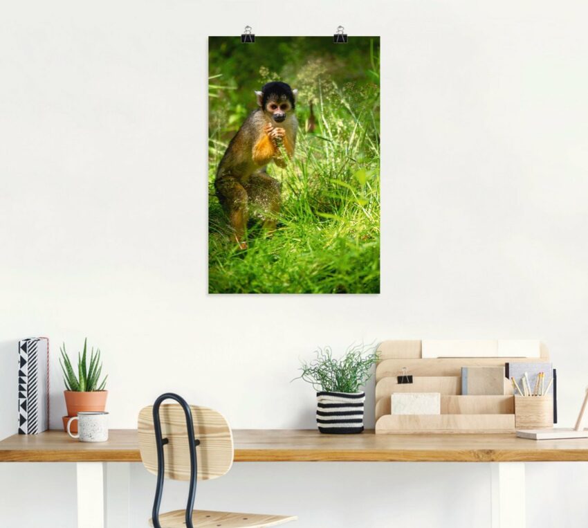 Artland Wandbild »Totenkopfäffchen im hohen Gras«, Affenbilder (1 Stück), in vielen Größen & Produktarten - Alubild / Outdoorbild für den Außenbereich, Leinwandbild, Poster, Wandaufkleber / Wandtattoo auch für Badezimmer geeignet-Bilder-Ideen für dein Zuhause von Home Trends