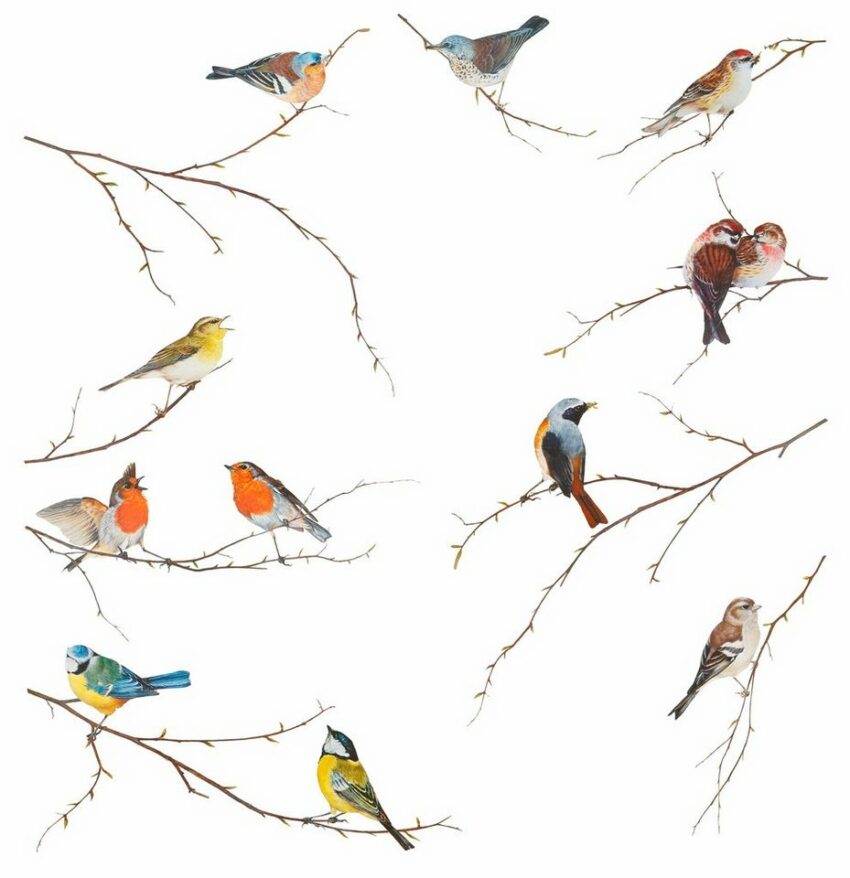 Komar Wandtattoo »Vögel«, selbstklebend-Wandtattoos-Ideen für dein Zuhause von Home Trends