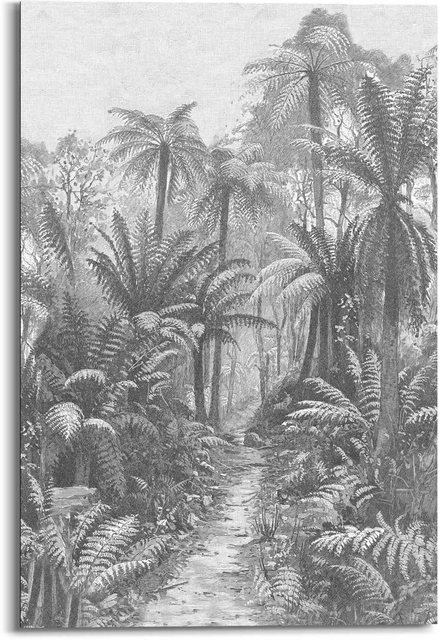 Reinders! Wandbild »Wandbild Palmen Gravur Regenwald - Ferns - 19. Jahrhundert - Australien«, Palmen (1 Stück)-Bilder-Inspirationen