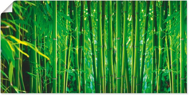 Artland Wandbild »Bambus II«, Gräser (1 Stück), in vielen Größen & Produktarten -Leinwandbild, Poster, Wandaufkleber / Wandtattoo auch für Badezimmer geeignet-Bilder-Inspirationen