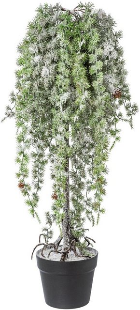 Kunstbaum Zeder, Creativ deco, Höhe 71 cm-Kunstpflanzen-Inspirationen