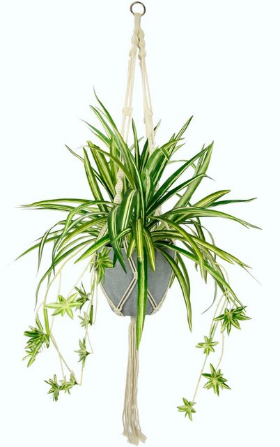 Künstliche Zimmerpflanze »Wasserlilie«, I.GE.A., Höhe 95 cm, im Kunststofftopf, mit Hängeampel-Kunstpflanzen-Inspirationen