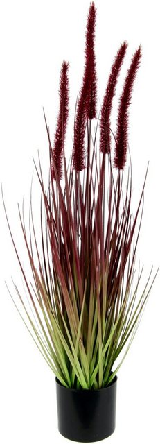 Kunstpflanze »Fuchsschwanzgras«, I.GE.A., Höhe 65 cm, Im Topf-Kunstpflanzen-Inspirationen