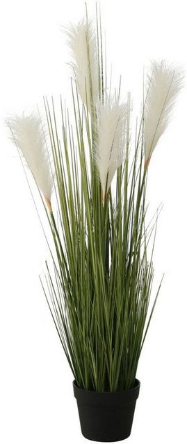 Künstliche Zimmerpflanze »Topfpflanze Pampasgrass«, BOLTZE, Höhe 100 cm-Kunstpflanzen-Inspirationen