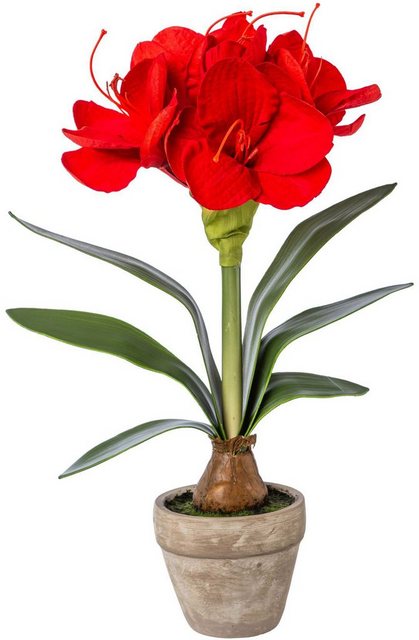 Künstliche Zimmerpflanze Amaryllis, Creativ deco, Höhe 43 cm-Kunstpflanzen-Inspirationen