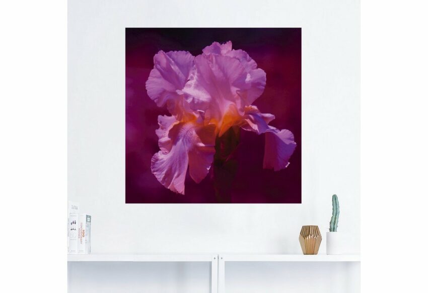 Artland Wandbild »Rosa Lilienblüte«, Blumen (1 Stück), in vielen Größen & Produktarten -Leinwandbild, Poster, Wandaufkleber / Wandtattoo auch für Badezimmer geeignet-Bilder-Ideen für dein Zuhause von Home Trends
