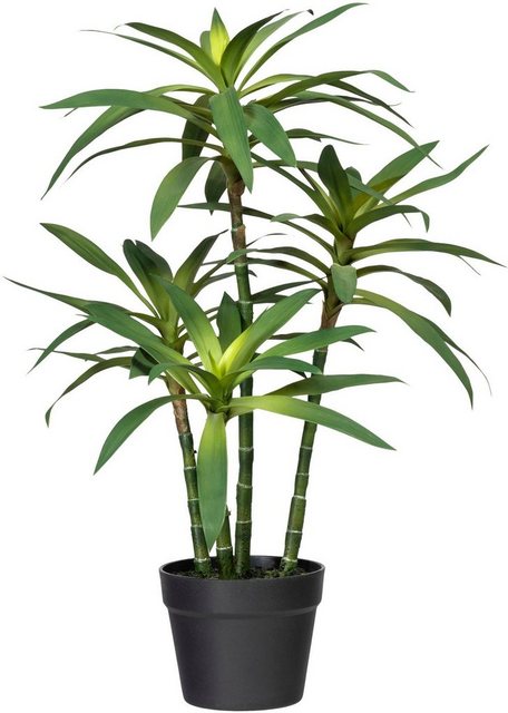 Künstliche Zimmerpflanze »Dracaena fragans« Dracaena fragans, Creativ green, Höhe 65 cm-Kunstpflanzen-Inspirationen