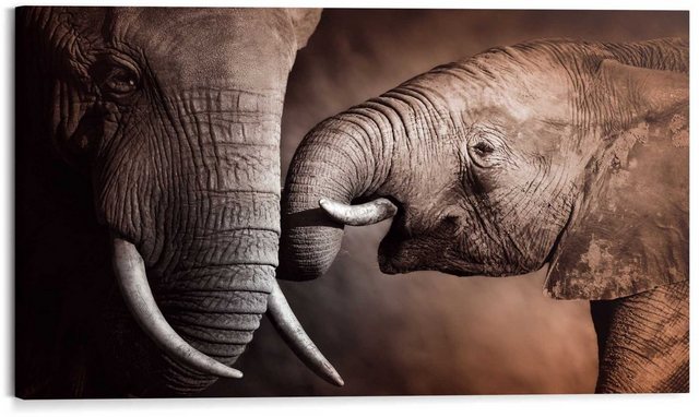 Reinders! Wandbild »Wandbild Elefanten Familie Afrika - Mutterliebe - Rüssel - Stoßzähne«, Elefanten (1 Stück)-Bilder-Inspirationen