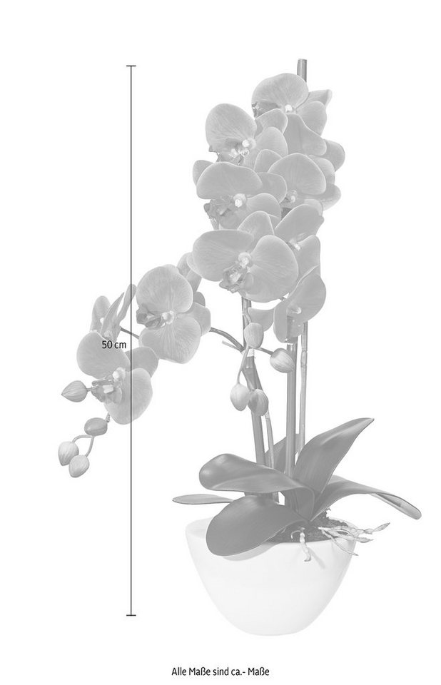 Kunstpflanze »Orchidee« Orchidee, Creativ green, Höhe 50 cm-Kunstpflanzen-Ideen für dein Zuhause von Home Trends