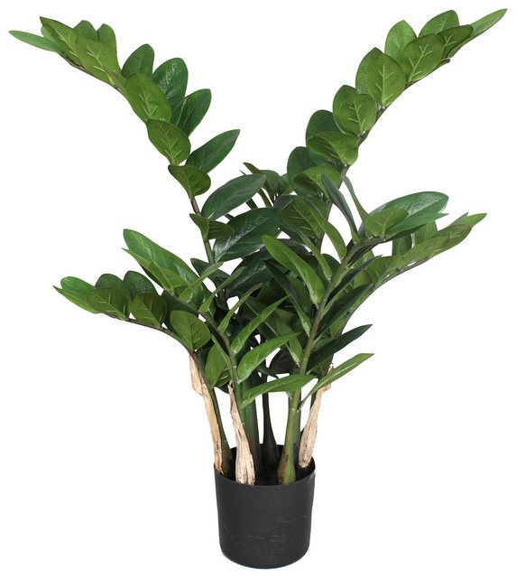 Kunstpflanze »Zamifolia«, Creativ green, Höhe 70 cm-Kunstpflanzen-Inspirationen