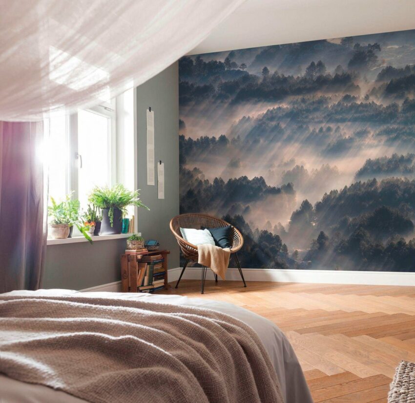 Komar Vliestapete »Pure Rays«, glatt, naturalistisch-Tapeten-Ideen für dein Zuhause von Home Trends