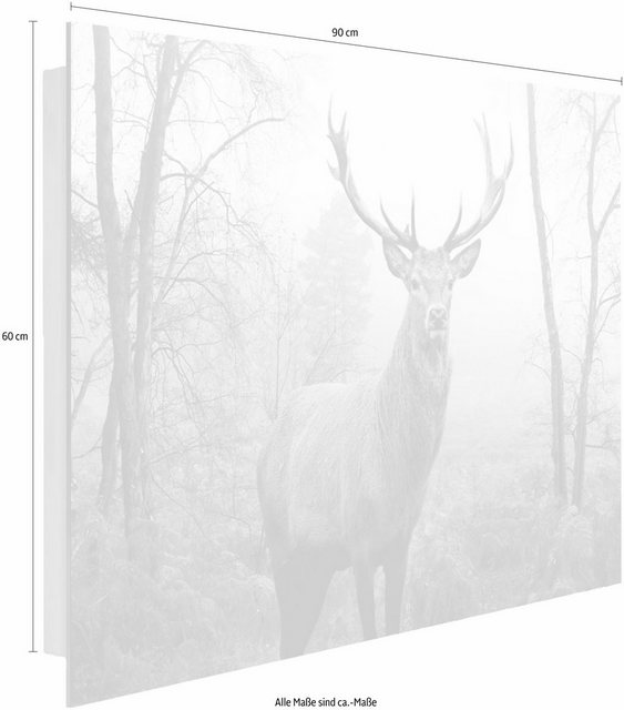 Home affaire Deco-Panel »Hirsch im Wald«, 90/60 cm-Bilder-Inspirationen