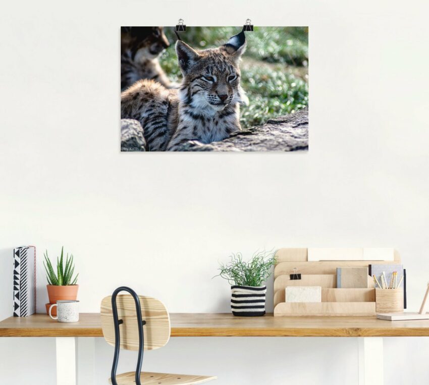 Artland Wandbild »Luchs«, Wildtiere (1 Stück), in vielen Größen & Produktarten - Alubild / Outdoorbild für den Außenbereich, Leinwandbild, Poster, Wandaufkleber / Wandtattoo auch für Badezimmer geeignet-Bilder-Ideen für dein Zuhause von Home Trends