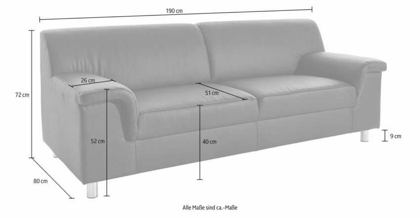 INOSIGN 2,5-Sitzer-Sofas-Ideen für dein Zuhause von Home Trends