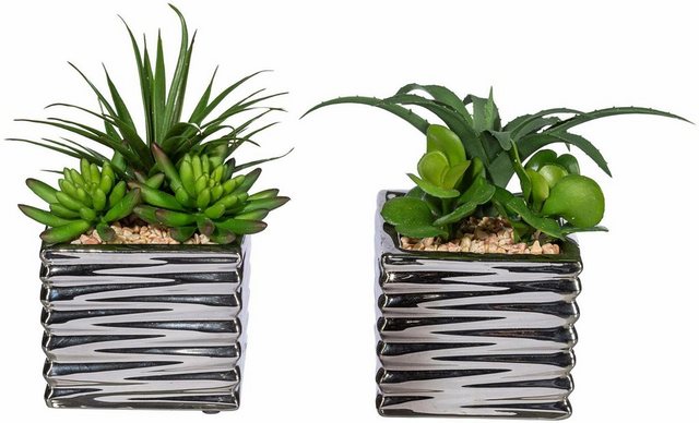 Kunstpflanze »Sukkulenten«, Creativ green, Höhe 18 cm-Kunstpflanzen-Inspirationen