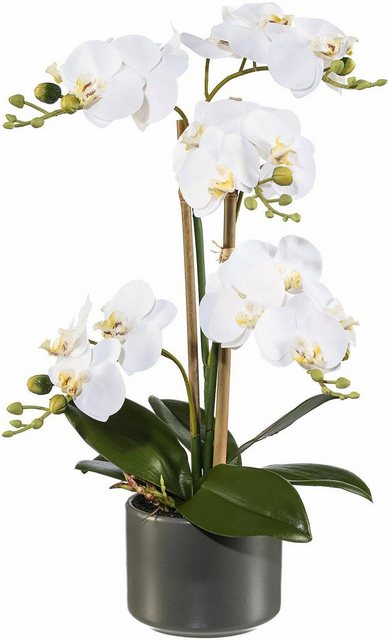 Kunstpflanze »Orchidee«, Creativ green, Höhe 38 cm-Kunstpflanzen-Inspirationen