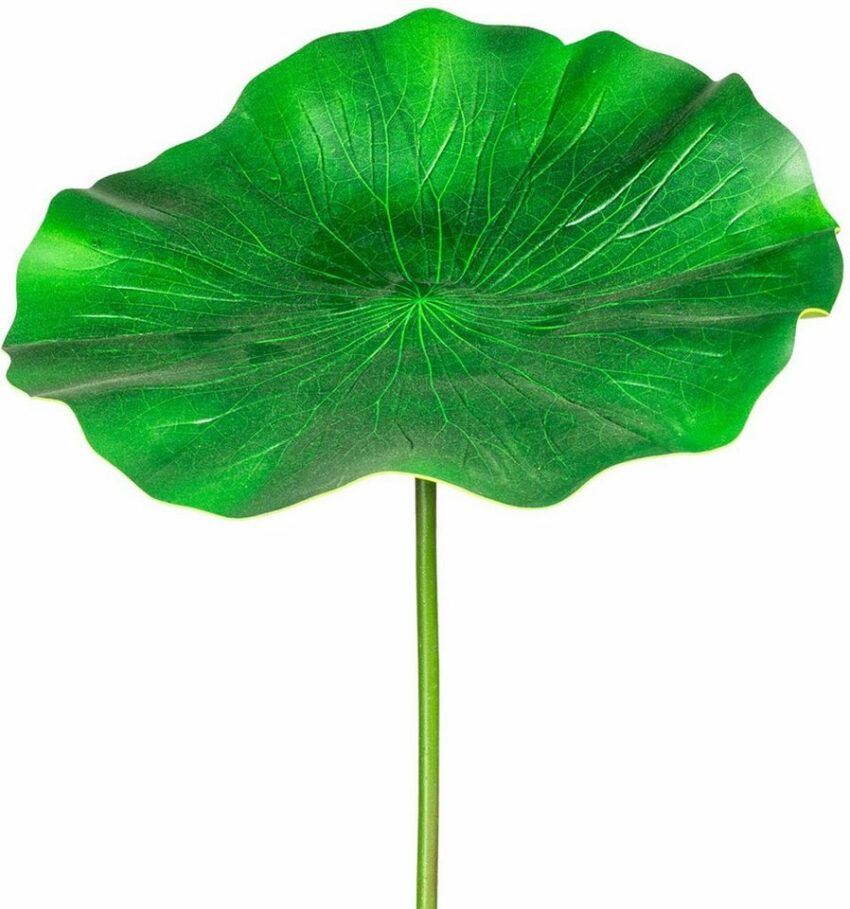 Kunstzweig »Lotusblatt« Blattstiel, Creativ green, Höhe 100 cm, 2er Set-Kunstpflanzen-Ideen für dein Zuhause von Home Trends