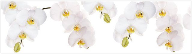 MySpotti Küchenrückwand »profix, Orchidee weiß«-Küchenrückwände-Inspirationen