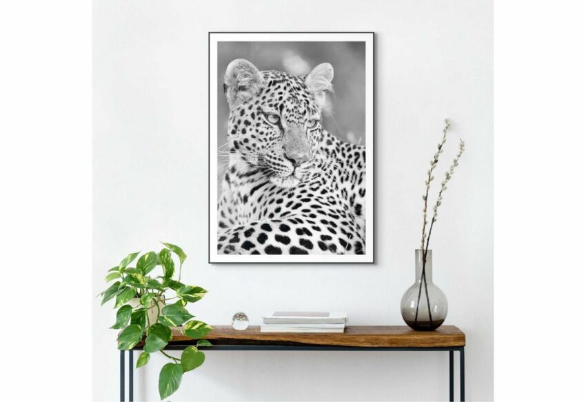 Reinders! Kunstdruck »Leopard«-Bilder-Ideen für dein Zuhause von Home Trends
