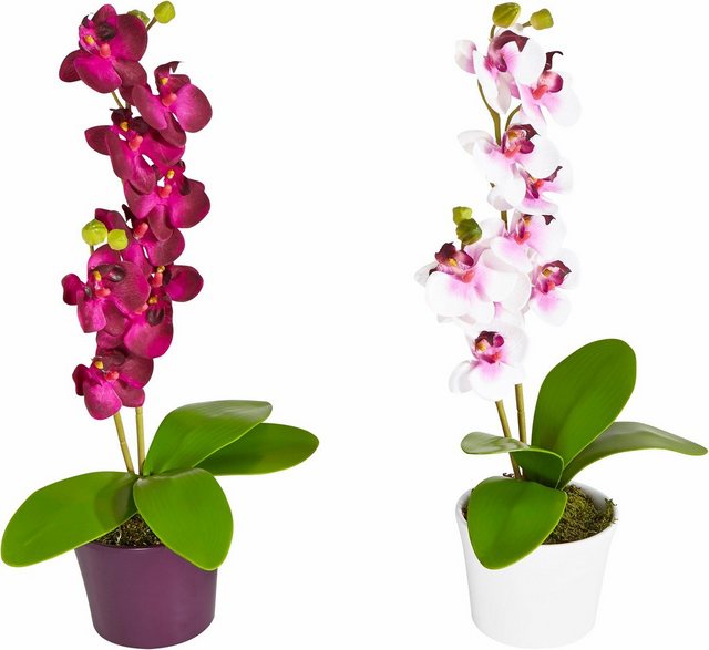 Kunstpflanze Orchidee, Creativ green, Höhe 40 cm, im Keramiktopf, 2er-Set-Kunstpflanzen-Inspirationen