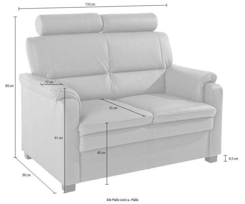 RAUM.ID 2-Sitzer, mit Federkern-Sofas-Ideen für dein Zuhause von Home Trends
