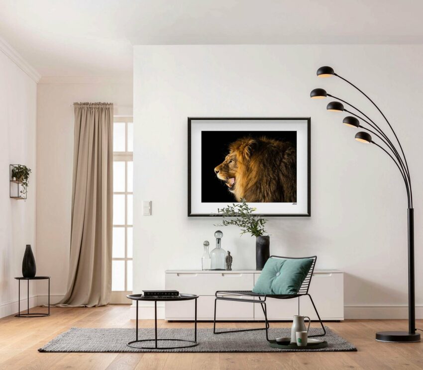 Komar Poster »Barbary Lion«, Tiere, Höhe: 30cm-Bilder-Ideen für dein Zuhause von Home Trends