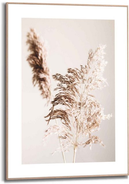 Reinders! Bild »Gerahmtes Bild Pampasgras Natur - Pflanze«, Pflanzen (1 Stück)-Bilder-Inspirationen