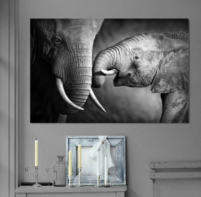 queence Leinwandbild »Elefant«-Bilder-Ideen für dein Zuhause von Home Trends