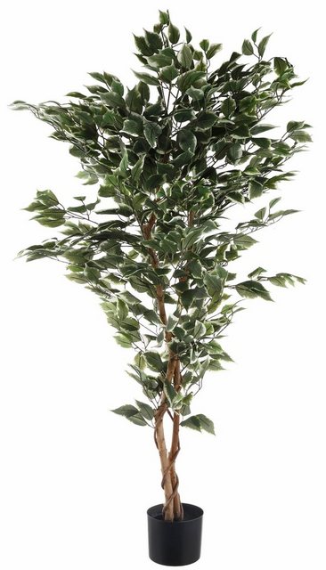Kunstpflanze »Ficus Benjamini« Ficus Benjamini, Creativ green, Höhe 150 cm-Kunstpflanzen-Inspirationen