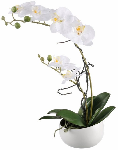 Kunstpflanze »Orchidee« Orchidee, Creativ green, Höhe 42 cm-Kunstpflanzen-Inspirationen