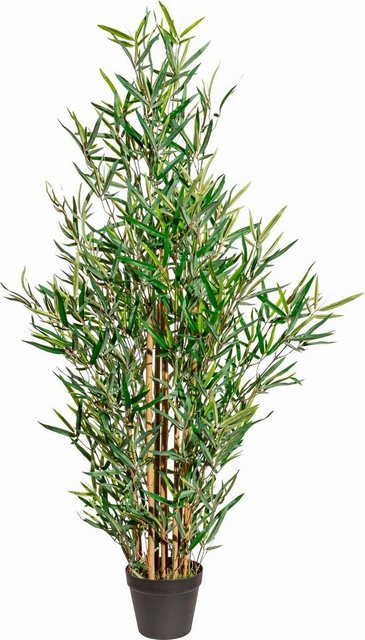 Kunstpflanze Bambus, Creativ green, Höhe 120 cm-Kunstpflanzen-Inspirationen