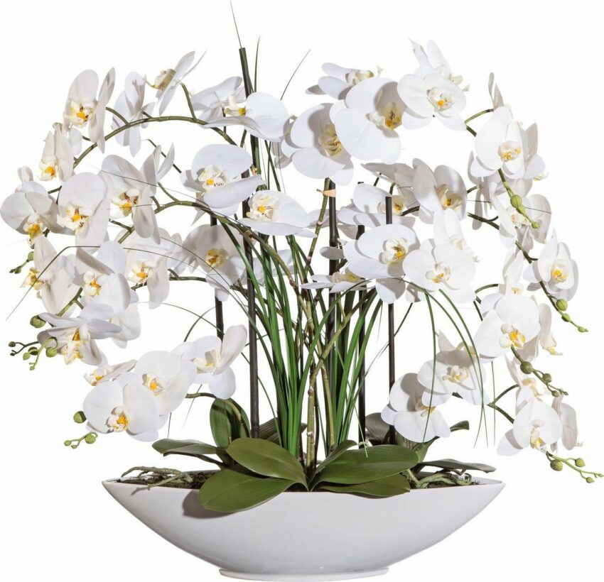 Kunstpflanze Orchidee, Creativ green, Höhe 70 cm-Kunstpflanzen-Ideen für dein Zuhause von Home Trends