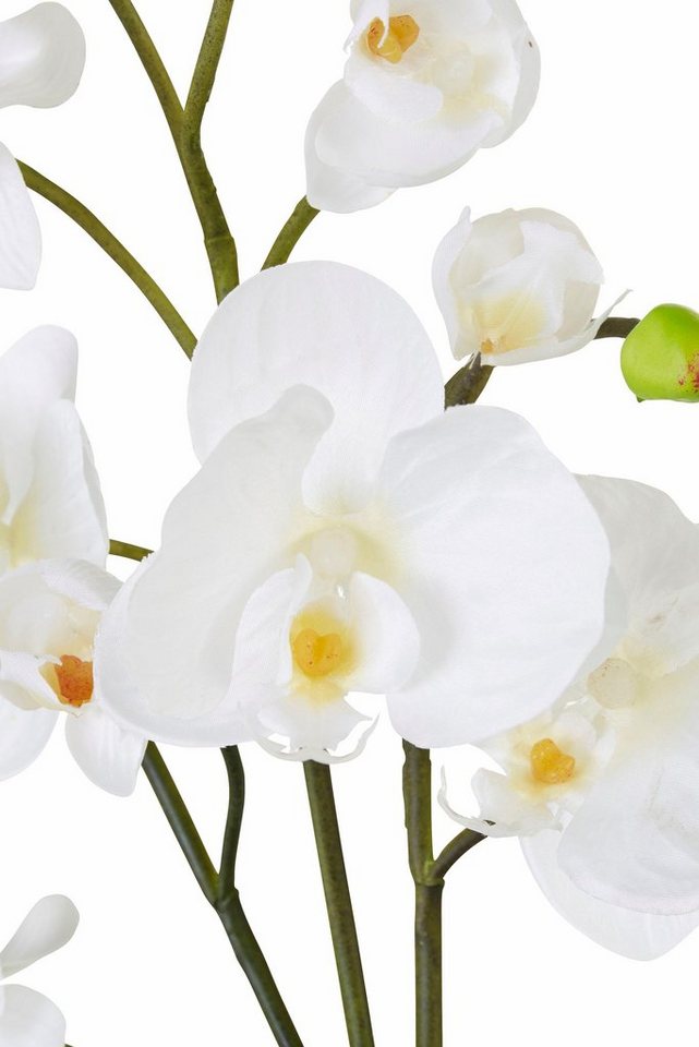 Kunstpflanze »Orchidee« Orchidee, I.GE.A., Höhe 35 cm-Kunstpflanzen-Ideen für dein Zuhause von Home Trends