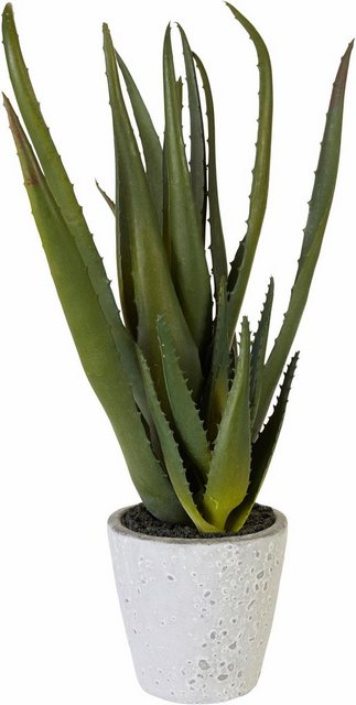 Kunstpflanze »Aloe«, Creativ green, Höhe 44 cm-Kunstpflanzen-Inspirationen
