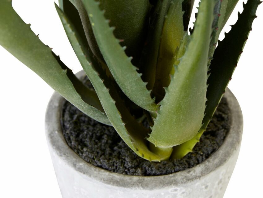 Kunstpflanze »Aloe«, Creativ green, Höhe 44 cm-Kunstpflanzen-Ideen für dein Zuhause von Home Trends