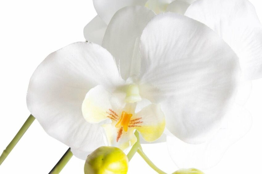 Kunstorchidee »Orchidee« Orchidee, Botanic-Haus, Höhe 75 cm-Kunstpflanzen-Ideen für dein Zuhause von Home Trends