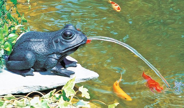 Heissner Wasserspeier »Frosch«-Teichdekoration-Inspirationen