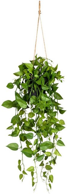 Kunstranke »Philodendronhänger« Philodendron, Creativ green, Höhe 75 cm, im Hängetopf-Kunstpflanzen-Inspirationen