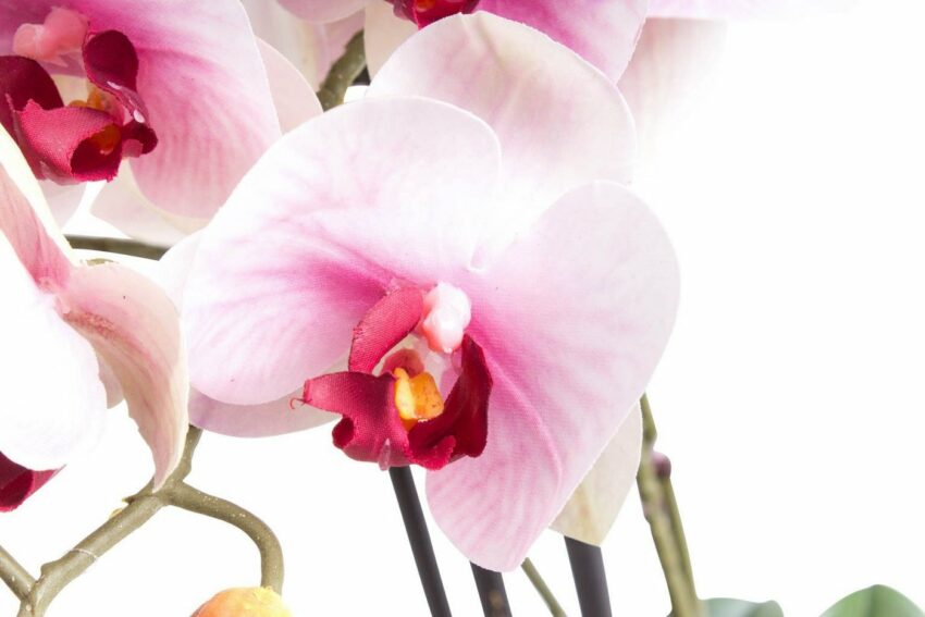 Kunstorchidee »Orchidee Bora« Orchidee, Botanic-Haus, Höhe 60 cm-Kunstpflanzen-Ideen für dein Zuhause von Home Trends